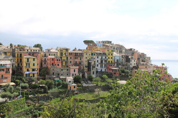 Wall Mural - Hiking the Cinque Terre | Corniglia