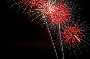 Fireworks at Night