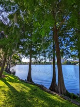 Gorgeous Day In The Heart Of The City Beautiful The Park At Lake Eola, Orlando, Florida.