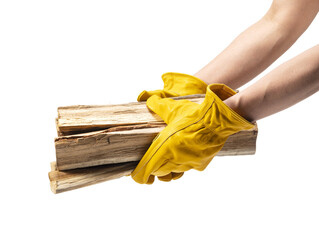 Wall Mural - A male hand wearing yellow leather gloves holds firewood against a white background.