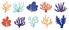 A Set Of  Summer Seaweed And Coral Watercolor