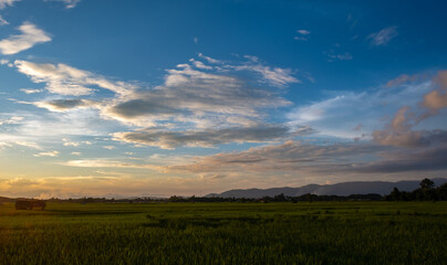 Wall Mural - colorful sunset and sunrise with clouds. blue and orange color of nature. many white clouds in the b