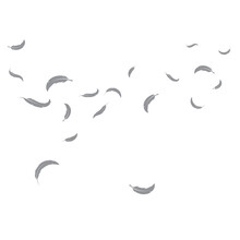 Feather Blowing Wind  Background  Illustration Vector Template