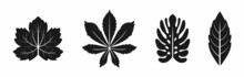 Variety Leaf Vector Collection