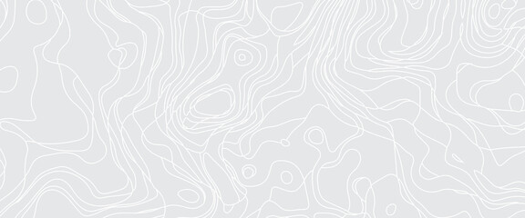 White wave paper curved reliefs abstract background, Abstract topographic contours map, Topography map background. Vector geographic contour map. Abstract topographic contours map background.