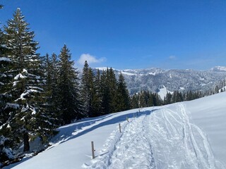 Wonderful winter hiking trails and traces on the slopes of the Alpstein mountain range and in the fresh alpine snow cover of the Swiss Alps, Nesslau - Obertoggenburg, Switzerland (Schweiz)