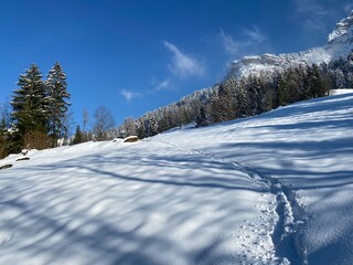 Wonderful winter hiking trails and traces on the slopes of the Alpstein mountain range and in the fresh alpine snow cover of the Swiss Alps, Nesslau - Obertoggenburg, Switzerland (Schweiz)