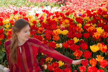 Young Woman Tourist In Red Blouse Sitting In Blooming Tulip Field. Spring Time, Red And Yellow Tulip