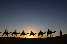 Caravana De Camellos En El Desierto