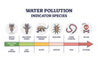 Water pollution indicator species from low to extreme levels outline diagram. Labeled educational scheme with wildlife organisms and creatures living in polluted fauna environment vector illustration.