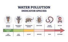 Water Pollution Indicator Species From Low To Extreme Levels Outline Diagram. Labeled Educational Scheme With Wildlife Organisms And Creatures Living In Polluted Fauna Environment Vector Illustration.