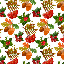 Pattern From Wild Berries.Red Wild Berries And Acorns On A Transparent Background In A Vector Pattern.