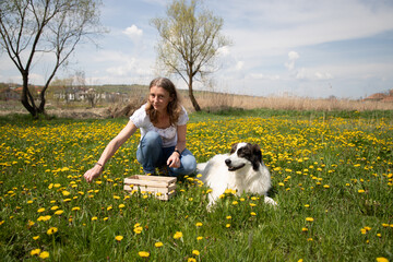 Wall Mural - woman picking dandelion flowers wild garden