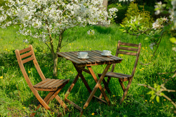 Cup of coffee or tea on wooden table next to blooming tree in a garden