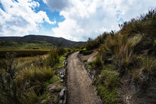 Hiking Trail Through Cotopaxi National Park, Parque Nacional Cotopaxi, Ecuador, South America