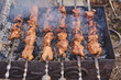 © FO_DE - Pork kebab on skewers on the grill, shrouded in smoke.