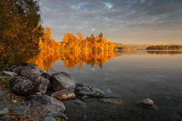 Wall Mural - Golden hour light by the calm lake