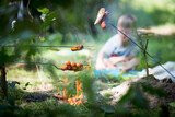 Fototapeta  - Kiełbaski pieczone w ognisku, rodzinne ognisko w lesie