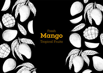 Wall Mural - Mango fruit hand drawn package design. Vector illustration. Sketch for design, brochure illustration. Vintage retro design. Mango frame illustration. Can used for packaging design.