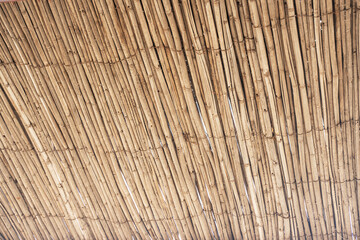  Reed background, bottom view of dry reed roof.