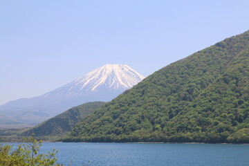 Wall Mural - 富士山と本栖湖