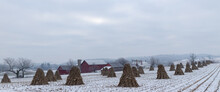Corn Shocks In A Snowy Field With An Amish Farm With Red Buildings In The Background | Holmes County, Ohio