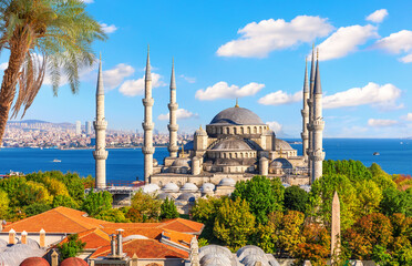 Wall Mural - Beautiful palm by The Blue Mosque or Sultan Ahmet Mosque, Bosphorus, Turkey