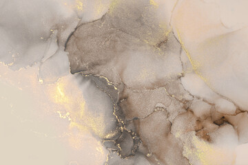 Wall Mural - art abstract smoke painting blots horizontal copy space background. alcohol ink beige and gold color