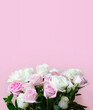 Rosas sobre fondo rosa con espacio para texto.