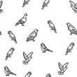 Bird Flying Animal With Feather Vector Seamless Pattern Thin Line Illustration