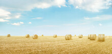 Panorama Of Yellow Field With Hay Bales Under Light Blue Sky With Clouds, Minimalistic Landscape Background