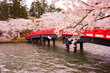 Japanese Red Colored Bridge and Pink Sakura, Cherry Blossoms blooming at Moat of Hirosaki Castle in Aomori, Japan - 日本 青森 弘前城 西濠 春陽橋 桜の花