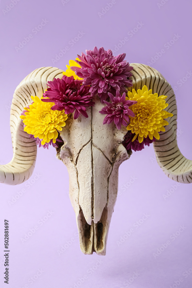 Skull of sheep with flowers on purple background