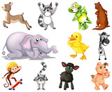 Fototapeta Dinusie - Set of animal cartoon character