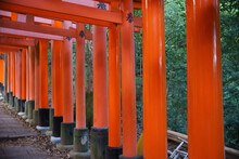 Ancient Japanese Pillars At A Shrine