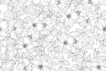 monochrome doodle line art rose flower bouquet repeat seamless pattern