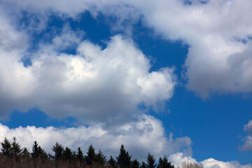 Wall Mural - blue sky with sunlight and beautiful white clouds.