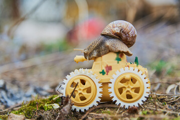 A large garden snail on a bright yellow toy tank .