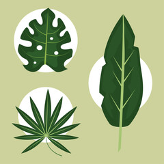 Poster - tropical leaves icons