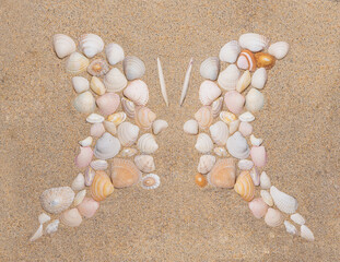 Butterfly or two profile side silhouette created of sea shells on sand background. Top view optical illusion appropriate to illustrate human friendship, relationship, emotions and communication.