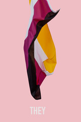 Poster - pronoun they and a non-binary pride flag