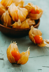 Canvas Print - groundcherries with their husks