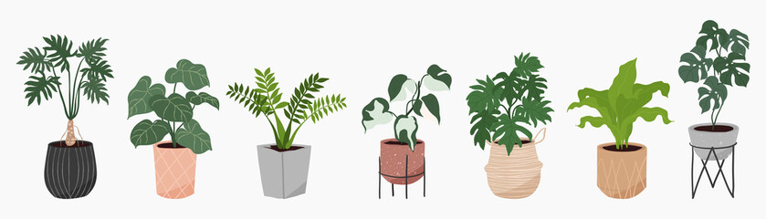 Potted plants collection on white background. Set of interior house plants with tropical plants, flowers, cactus, leaves. Different vintage indoor decor illustration for decoration, art, prints.