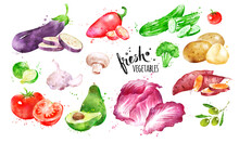 Watercolor Hand Drawn Illustration Set Of Vegetables