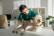 © DragonImages - Veterinary nurse examining labrador dog lying on medical table