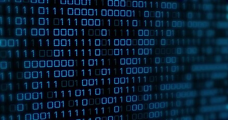 Wall Mural - animation of blue binary code changing on black background