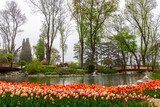 Fototapeta Tulipany - a spring morning flower garden