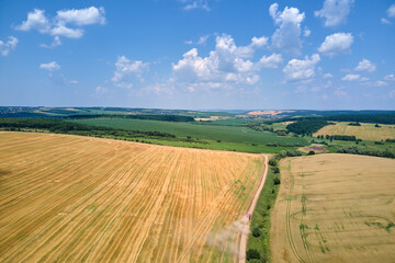 Wall Mural - Aerial view of cargo truck driving on dirt road between agricultural wheat fields making lot of dust. Transportation of grain after being harvested by combine harvester during harvesting season