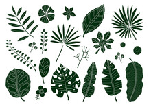 Ropical Green Leaves In The Doodle Style.Exotic Summer Botanical Illustrations. Can Be Used For Greeting Cards, Coloring Books, Blogs And Etc.