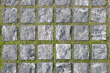Paving Stones With Moss